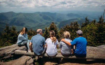 Types of Family Counseling